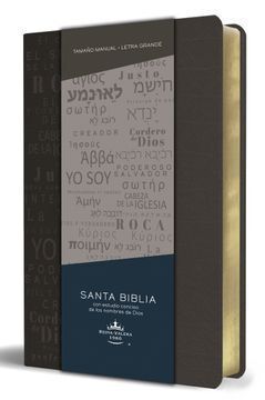 SANTA BIBLIA GRIS