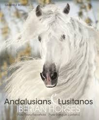 ANDALUSIANS LUSITANOS PURA RAZA ESPAÑOLA / PURO SANGUE LUSITANO