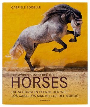 LOS CABALLOS MÁS BELLOS DEL MUNDO