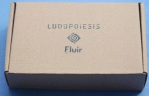 LUDOPOIESIS - FLUIR