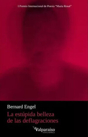 LA ESTÚPIDA BELLEZA DE LAS DEFLAGRACIONES