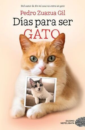 DÍAS PARA SER GATO