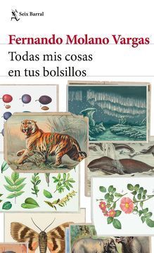 TODAS MIS COSAS EN TUS BOLSILLOS TD