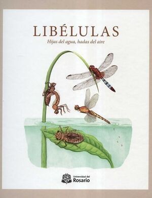 LIBÉLULAS