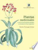 PLANTAS MEDICINALES