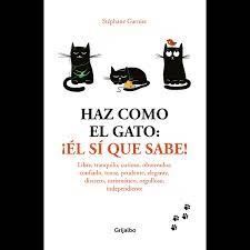 HAZ COMO EL GATO: ÉL SÍ QUE SABE!