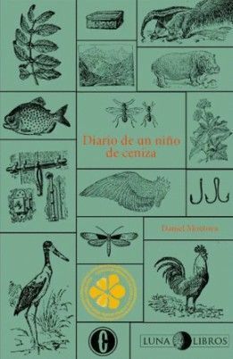 DIARIO DE UN NIÑO DE CENIZA